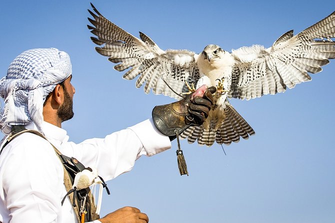 Abu Dhabi: Desert Safari with BBQ, Camel Ride & Sandboarding - Is $74.06 good value?
