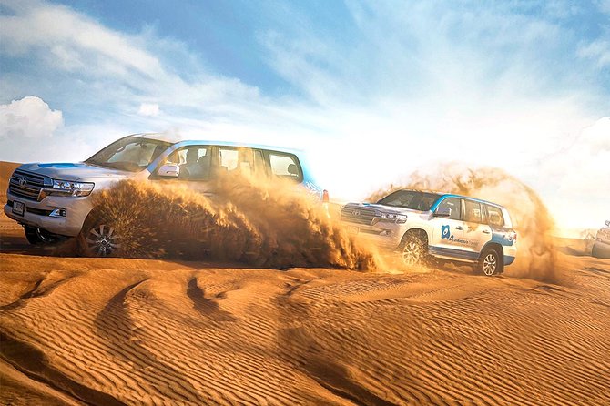 Abu Dhabi: Desert Safari with BBQ, Camel Ride & Sandboarding - Who will enjoy this most?