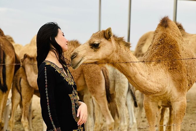 Abu Dhabi Desert Safari With BBQ Dinner & Live Shows - The camel ride: a taste, not a trek