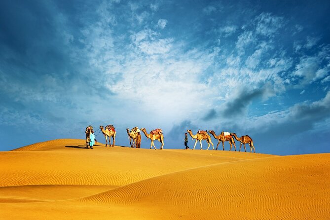 Abu Dhabi Evening Desert Safari Adventure - Key details before you book