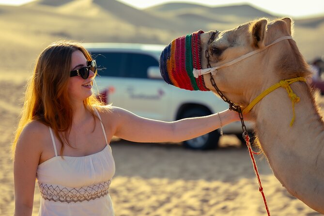 Abu Dhabi Evening Desert Safari - Private car Dune bashing & BBQ - BBQ dinner and evening entertainment