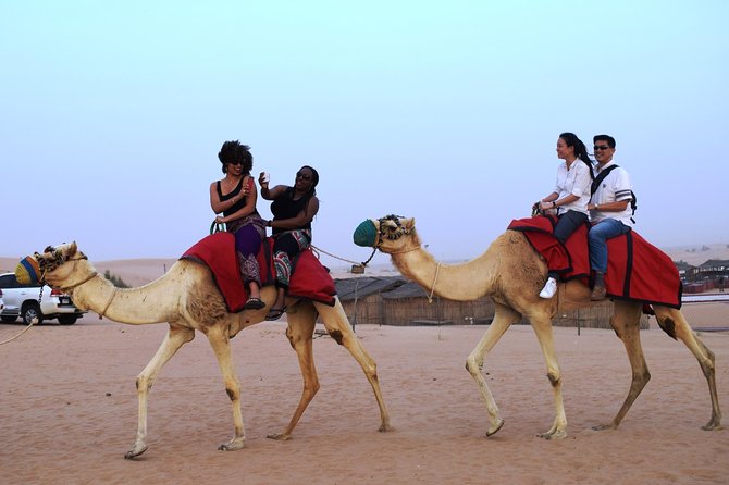 Abu Dhabi Evening Desert Safari with BBQ Dinner and all Camp Activities - Sandboarding and the big 4x4 ride