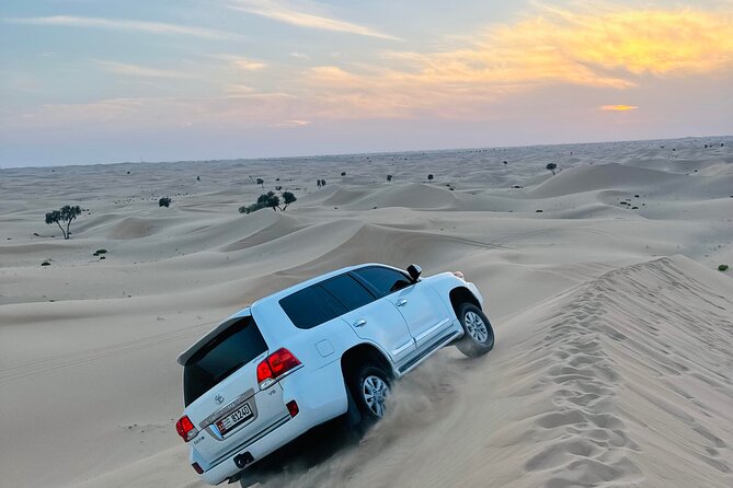 Abu Dhabi: Evening Desert Safari with Camel Ride, BBQ & Live Show - Leaving Abu Dhabi at 3 p.m.
