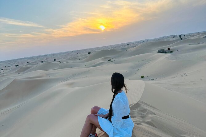 Abu Dhabi: Evening Desert Safari with Camel Ride, BBQ & Live Show - Guides, safety, and the shared-ride question