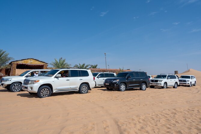 Abu Dhabi Full-Day Desert Safari - Dinner is useful, but keep expectations modest