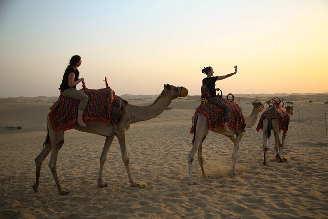 Abu Dhabi Half Day Desert Safari - Is $74 a fair price?