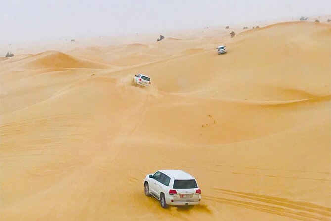 Abu Dhabi Morning Desert Safari - Key points at a glance