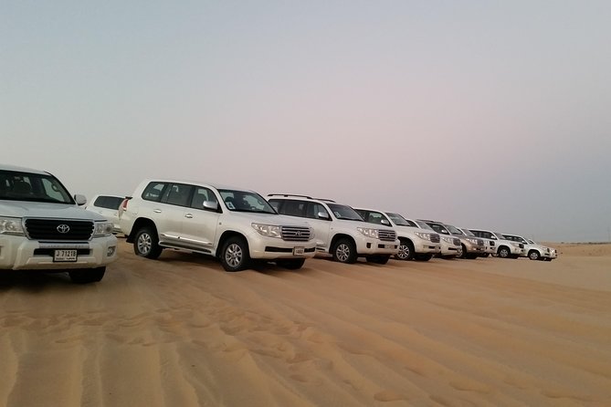 Abu Dhabi Morning Desert Safari - Is $70 a fair price?