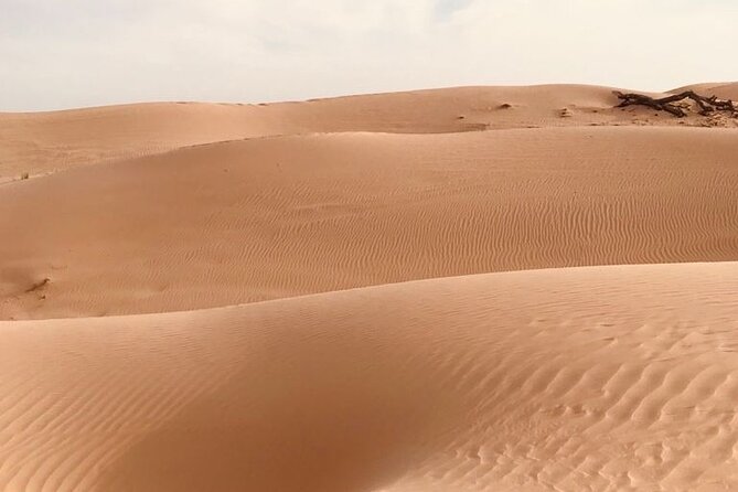 Abu Dhabi Morning Desert Safari,Dune Bashing,Sandboarding,Camel Riding&Quad Bike - Guides who shape the morning