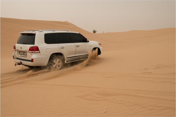 Abu Dhabi morning desert safari - Private car - Why this short Abu Dhabi safari works