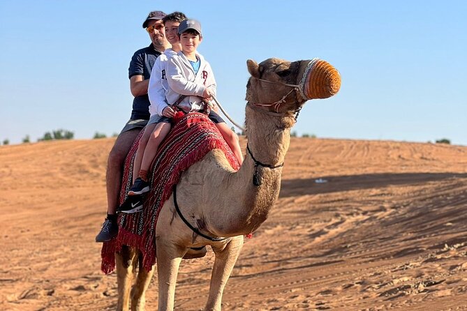 Abu Dhabi morning desert safari - Private car - The ride from Abu Dhabi to Al Khatim