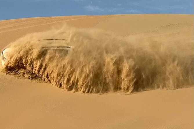 Abu Dhabi Morning Desert Safari with Camel Ride - Key Points Before You Book