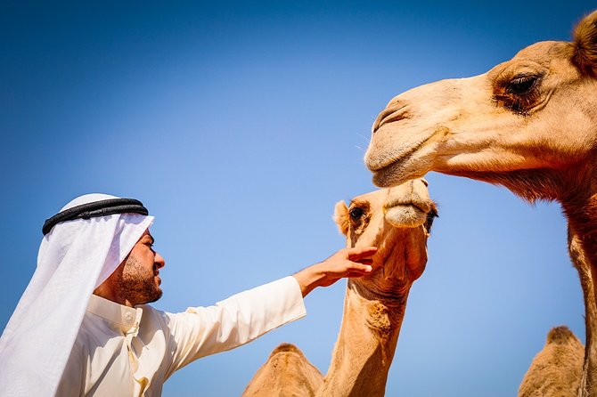 Abu Dhabi: Morning Desert Safari with Camels and Sandboarding - Dune bashing: the thrilling part