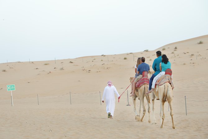 Abu Dhabi Morning Desert Safari - The 4WD dune bash is the star attraction