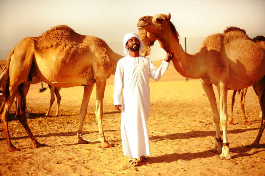 Abu Dhabi: Overnight Desert Safari - From Abu Dhabi to the Al Khatim dunes