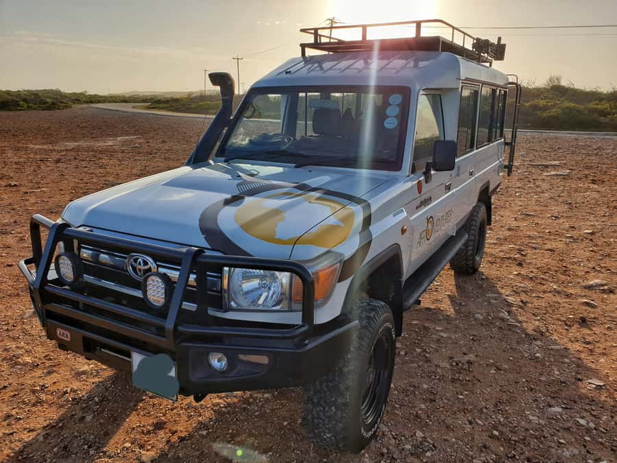 Addo Elephant National Park All Inclusive Full-Day Safari - Is $186 Good Value?