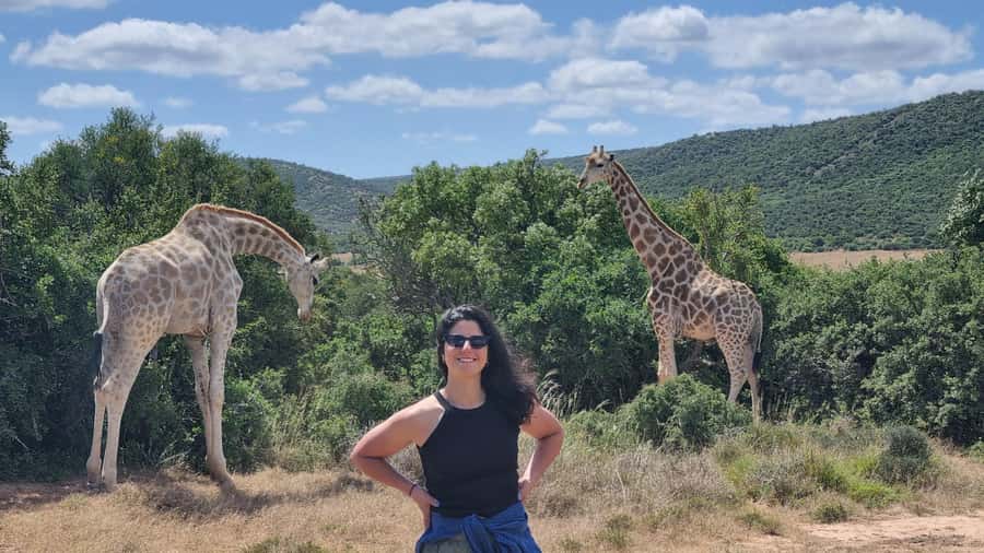 Addo Elephant Park and Giraffe Walk Full Day Safari - The morning pickup from Port Elizabeth or Colchester