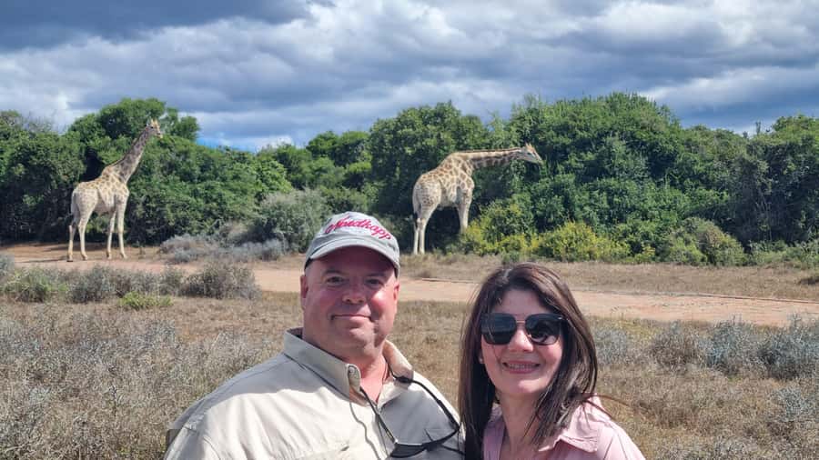 Addo Elephant Park and Giraffe Walk Private Full Day Safari - Entering Addo Elephant National Park for a seven-hour safari