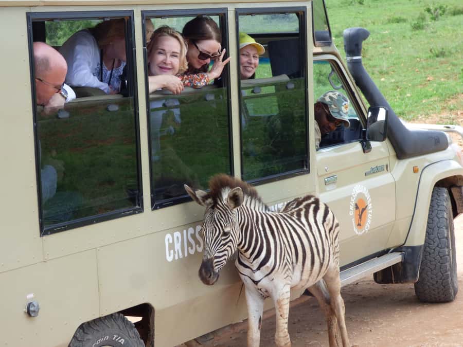 Addo National Park: Guided Half-Day Safari - Meeting in Addo village and starting at Main Camp
