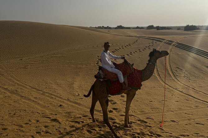 Adventure non touristic camel safari - Meeting the camels in the Thar Desert