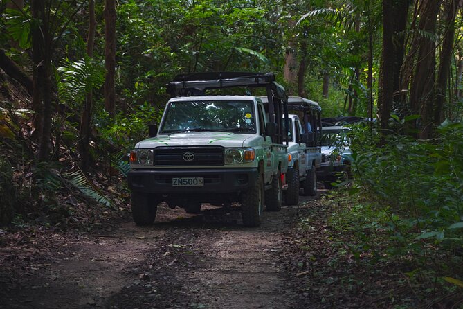Adventure Safari - Bathsheba: sea air, rock formations, and shade