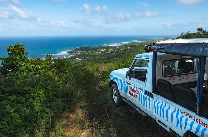 Adventure Safari - Little Bay and the northern blowholes