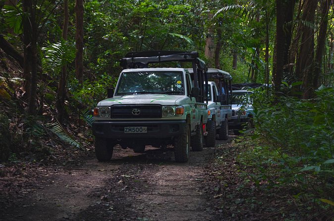 Adventure Safari - Who will enjoy this most?