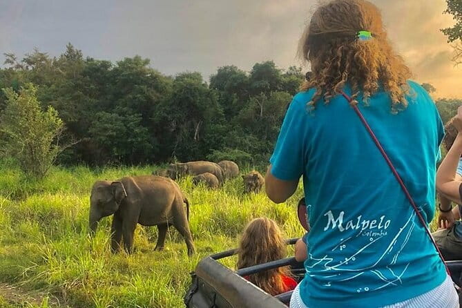 Adventure safari Experience in Hurulu Eco Park, Sri Lanka - Key points to know before you book