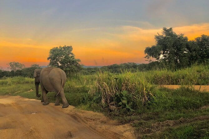 Adventure safari Experience in Hurulu Eco Park, Sri Lanka - Why Hurulu Eco Park makes sense near Habarana