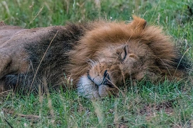 African Wildlife & Nature - 5 Kenya national parks - 6 day Jeep Safari - Day four: Hell’s Gate and the road to Maasai Mara