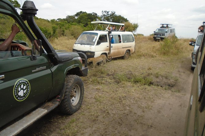 African Wildlife & Nature - 5 Kenya national parks - 6 day Jeep Safari - Day one: Tsavo West and the search for rhino