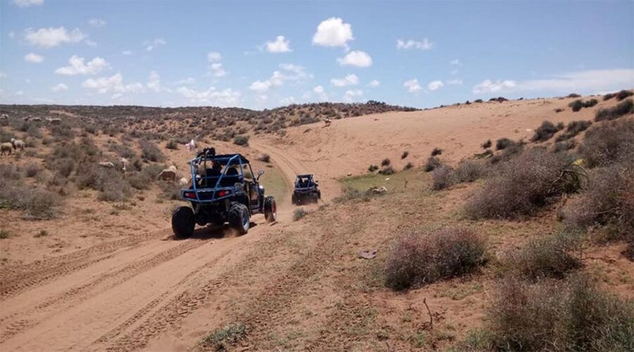 Agadir: Buggy Safari Adventure - Should you book the Agadir Buggy Safari?