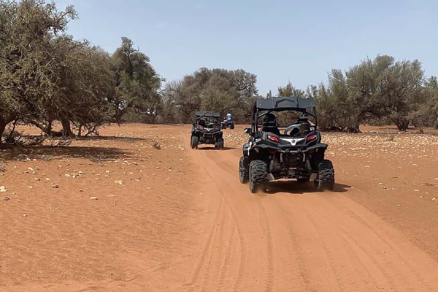 Agadir: Half-Day Desert Dunes Buggy Safari - Hotel transport makes this an easy add-on