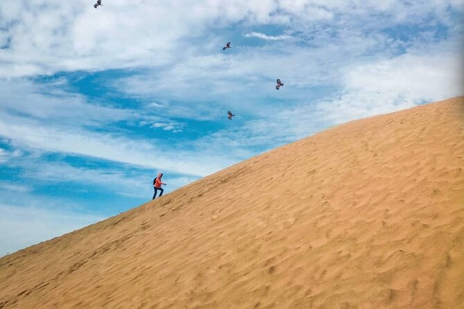 Agadir Jeep Safari Sahara Desert 4x4 Day Tour with Lunch - The Youssef Ben Tachfine Dam and Atlas views