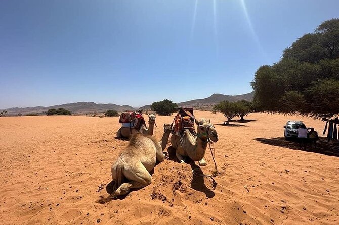 Agadir Jeep Safari Sahara Desert 4x4 Day Tour with Lunch - Guides make a big difference