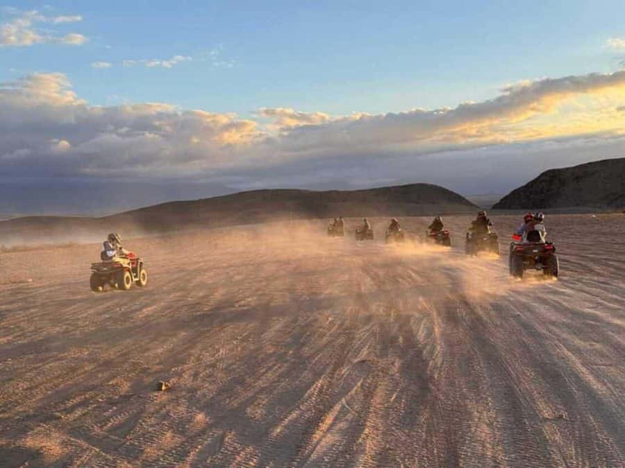 Agadir: Quad Bike Safari Desert With Moroccan Tea - The goats in the argan trees
