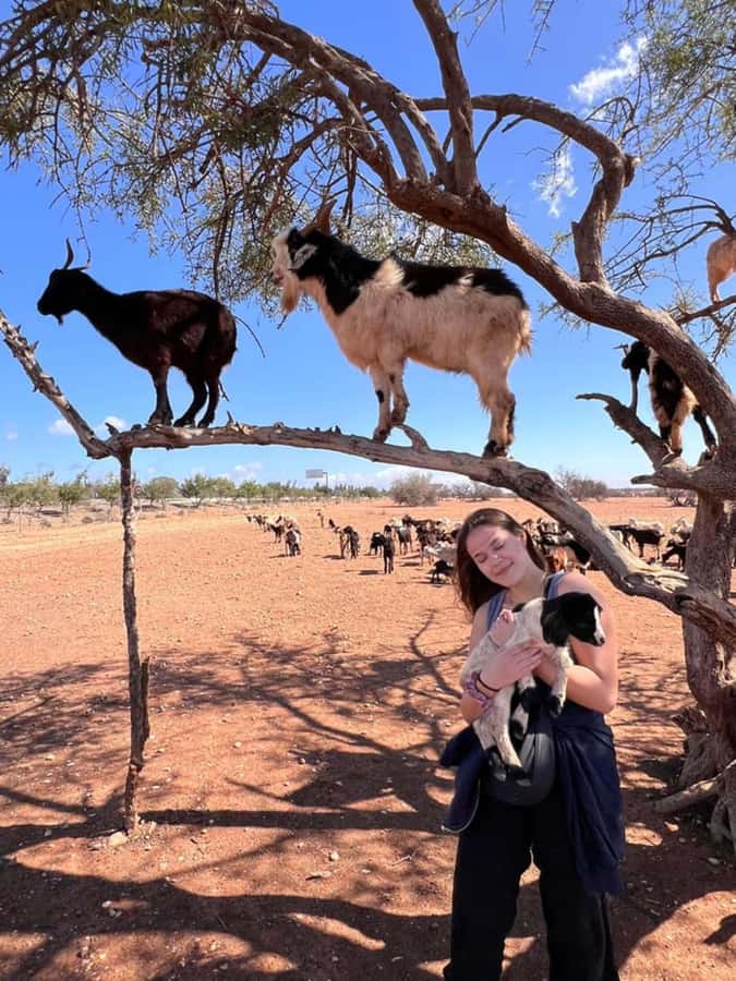 Agadir: Quad Safari with Crocoparc Optional - Booking details worth checking