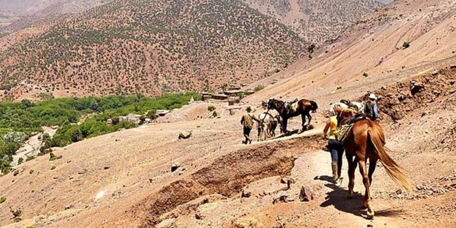 Agadir: Quad Safari with Crocoparc Optional - Moroccan tea and the human touch