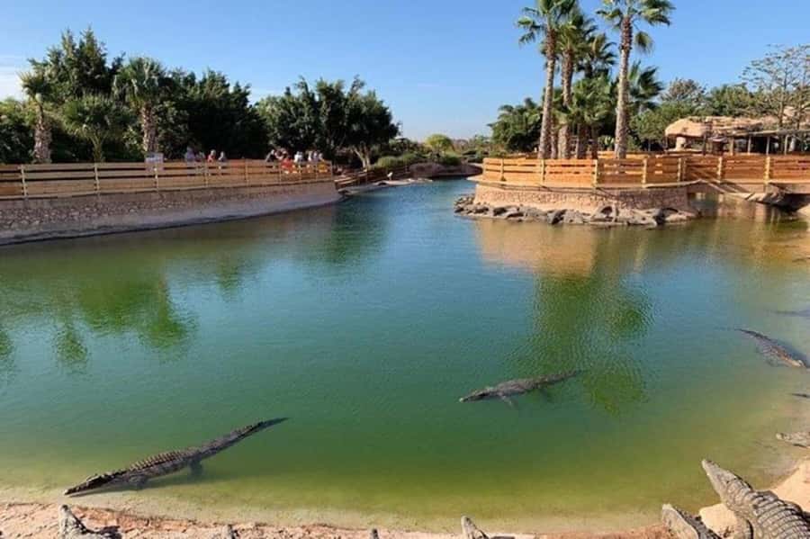 Agadir: Quad Safari with Crocoparc Optional - Who should book this experience?