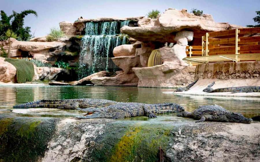 Agadir: Quad Safari with Crocoparc Optional - The quad ride through the Souss-Massa desert