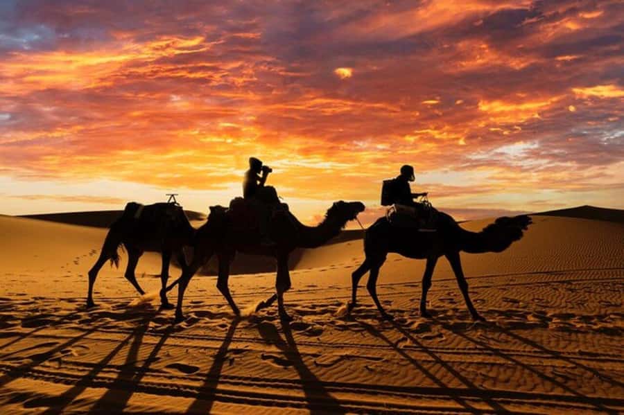 Agadir/Taghazout: Desert & Beach Safari Quad With Transfer - Who will enjoy this four-hour outing?