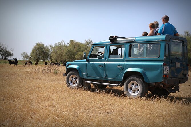 Aigues Mortes: 4x4 photo safari in the Camargue - Horses and bulls in their natural setting