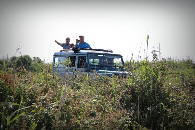 Aigues Mortes: 4x4 photo safari in the Camargue - What the 3.5-hour route feels like