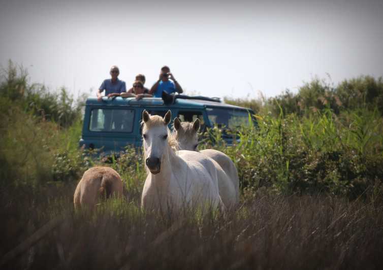 Aigues Mortes: Jeep Photo Safari in Camargue - Why the Camargue works so well for a 4x4 safari