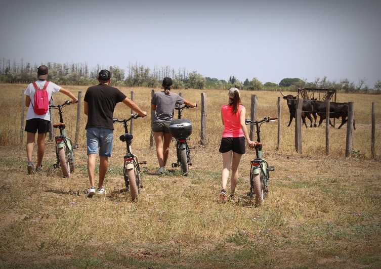 Aigues Mortes: safari en vélo - Ebike tour in Camargue - Leaving Aigues-Mortes for the Petite Camargue
