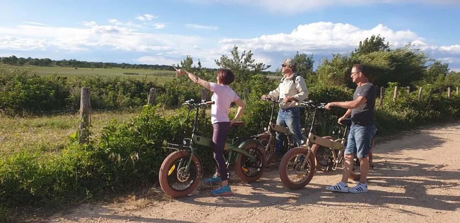 Aigues Mortes: safari en vélo - Ebike tour in Camargue - What the electric bikes add, and where they fall short