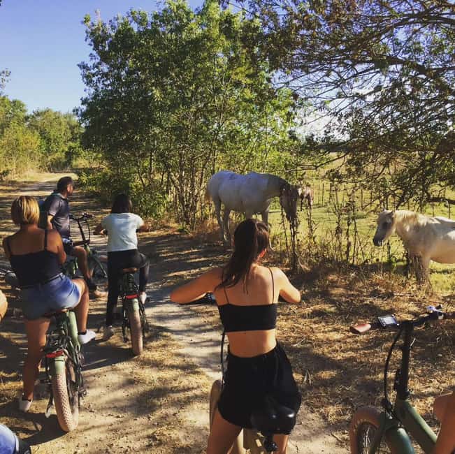 Aigues Mortes: safari en vélo - Ebike tour in Camargue - Riding between vineyards, marshes, and canals