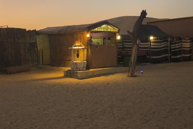 Al Ain Desert Safari with Buffet Dinner - Camel rides, sandboarding, and falcon photos