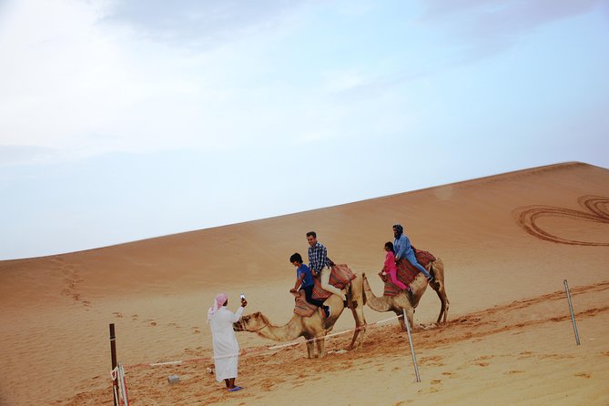 Al Ain Desert Safari with Buffet Dinner - Guides and the value of a good driver