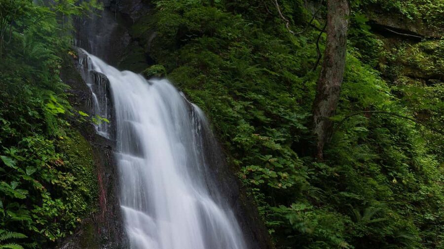 Alanya: Family Jeep Safari w/Canyon, River & Village Visit - Five things to know before you book